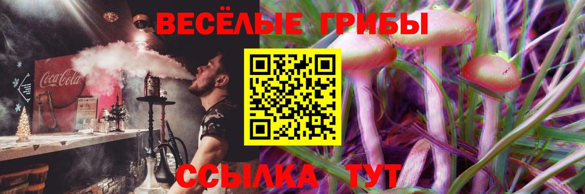 Псилоцибиновые грибы мицелий  Вход с VPN  Хасавюрт 