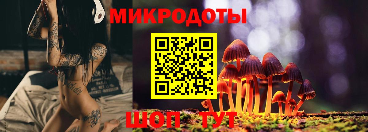 Псилоцибиновые грибы Psilocybine cubensis Хасавюрт